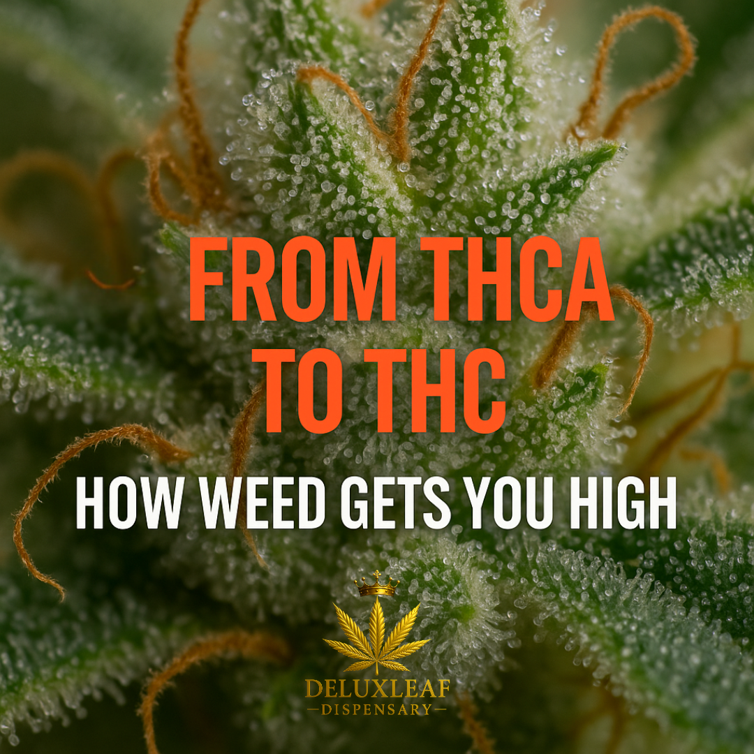 🌿 What Makes Weed Potent? A Simple Breakdown of How THC Works in Cannabis Flower